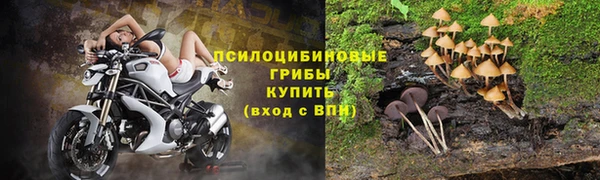 мдпв Медногорск
